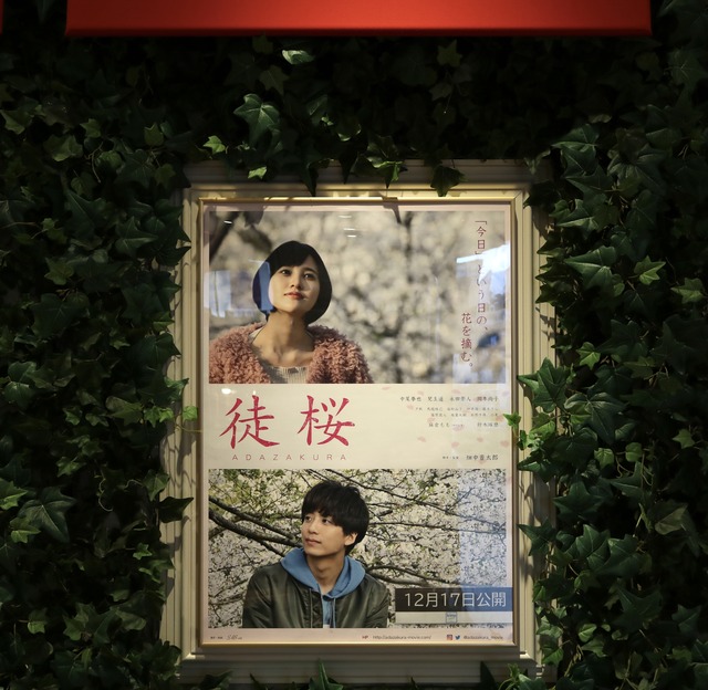 映画「徒桜 あだざくら」キノシネマ天神