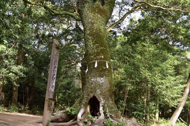 ORC福岡-宮崎便で行く女子旅。江田神社。