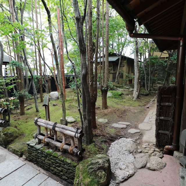 「イノベーティブ・フレンチ ワタハン」福岡市白金に開業レポート