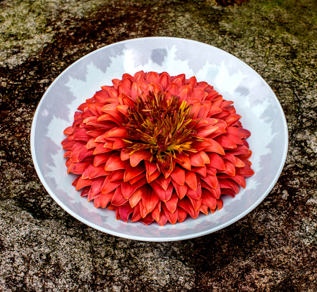 「ニコライ・バーグマン Flower Exhibition」レソラ天神2022年