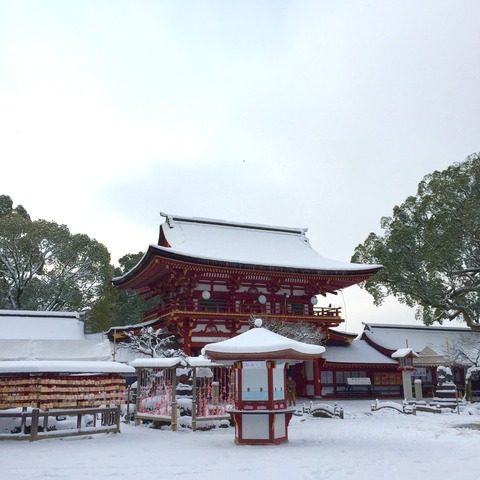 太宰府の大雪。2016年1月