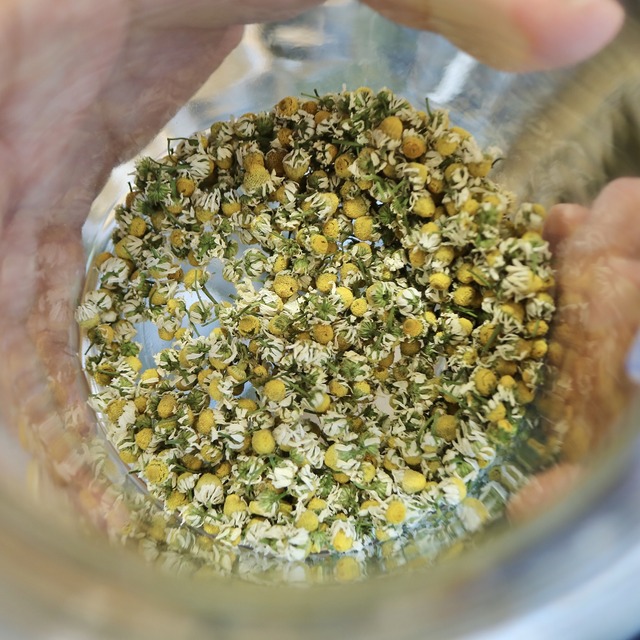 ザ レールキッチンチクゴ マルシェ 中村園はるのき