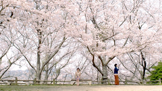 映画「徒桜（あだざくら）」フクオカーノ