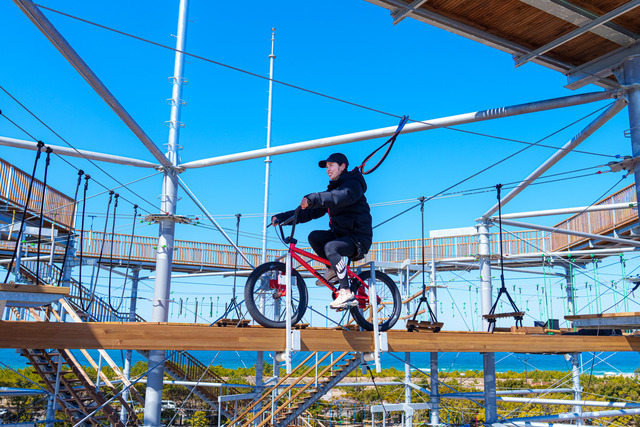 「シー・ドラグーン」の自転車