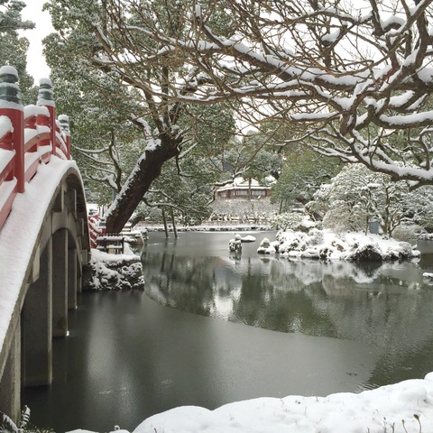 太宰府の大雪。2016年1月