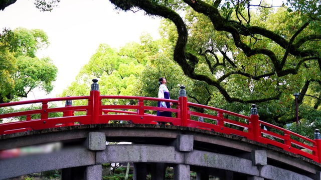 ネオンテトラ「時の旅人 ～令和ゆかりの地・太宰府のうた～」PV