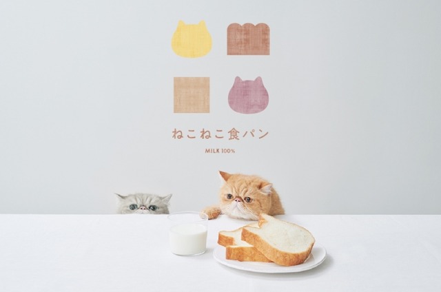 博多マルイ「ねこねこ食パン」
