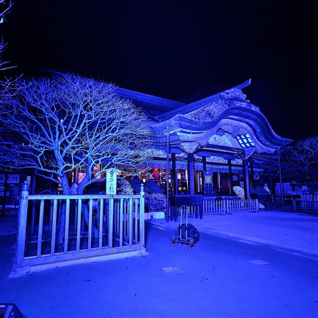 太宰府天満宮「世界糖尿病デー」2018年