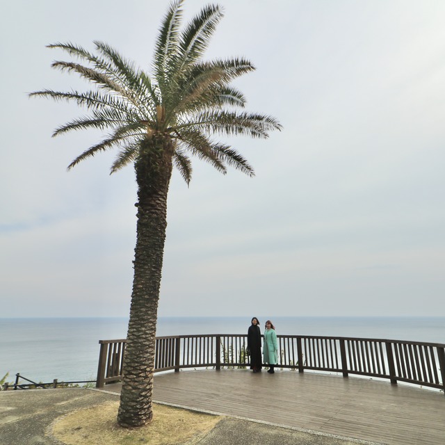 ORC福岡-宮崎便で行く女子旅。道の駅フェニックス。