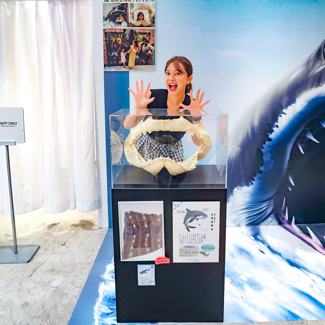 くにさきなるみさん「ゆるゆる図鑑危険生物展」福岡パルコレポート