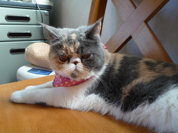 2010_0319_095320-P1010754