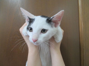 2018_0903_100903-IMG_0003