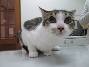 2015_0208_115407-IMG_0001