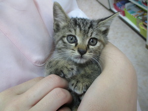 2013_1017_160159-IMG_0004