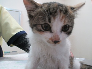 2013_1030_181707-IMG_0004