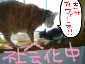 BlogPaint