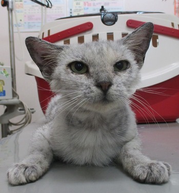 2018_0711_163618-IMG_0014