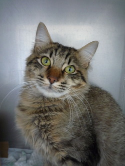 2012_0406_105655-P1060199