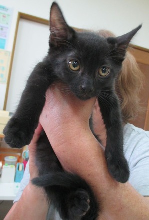 2018_0726_120357-IMG_0022