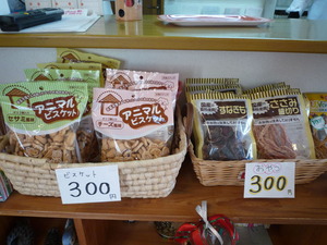 2011_1214_154641-P1050019