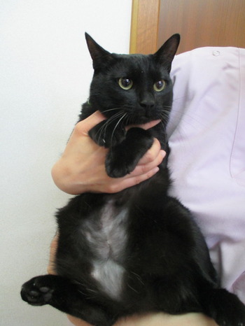 2018_0505_110805-IMG_0006