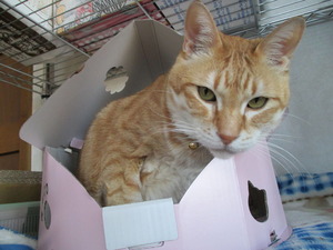 2014_0212_145843-IMG_0003