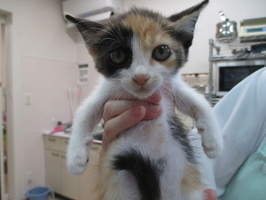 2014_0830_111327-IMG_0005