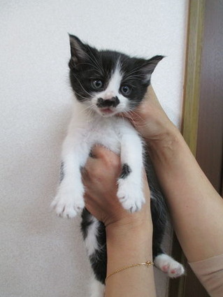 2018_1201_165142-IMG_0007