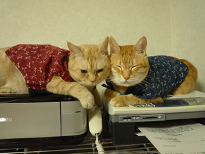 2011_1220_191645-P1050041