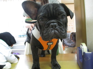 2014_0817_161522-IMG_0005