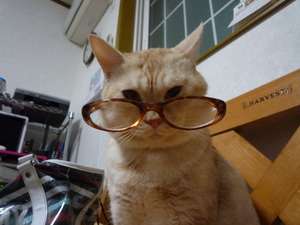 2011_1201_200854-P1050008