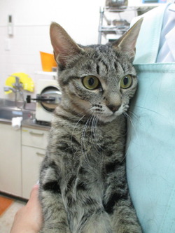 2014_0917_174001-IMG_0017