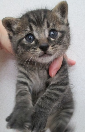 2019_0412_182226-IMG_0004