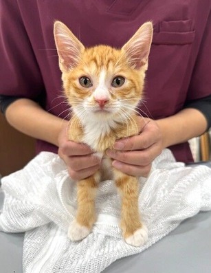 8EA43BEB-06DC-4702-942D-30B7A4B65DAC (002)
