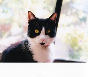 IMG_20161210_0001_NEW