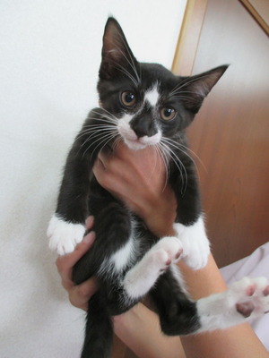 2018_0726_120016-IMG_0012