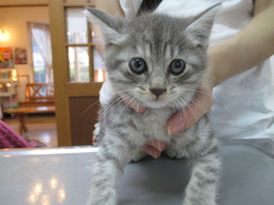 2013_1014_165328-IMG_0004