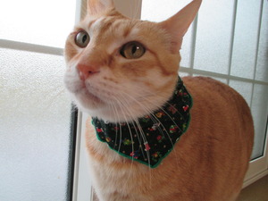 2013_1115_095848-IMG_0002