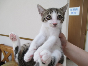 2014_0802_111632-IMG_0004