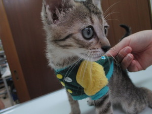 2014_0907_102704-IMG_0009