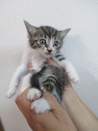 2018_1201_165306-IMG_0012