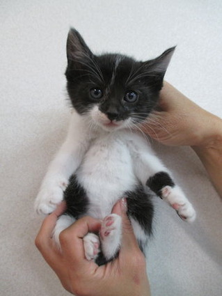 2018_1201_165217-IMG_0008