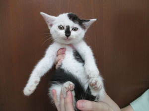 2016_0702_124715-IMG_0005