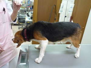 2012_1117_131122-P1070365