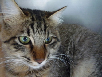 2012_0406_105456-P1060196