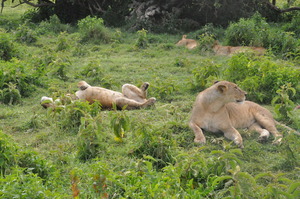 2012_0713_152426-DSC_0111