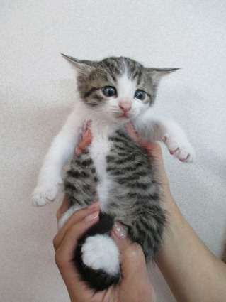 2018_1201_165241-IMG_0010