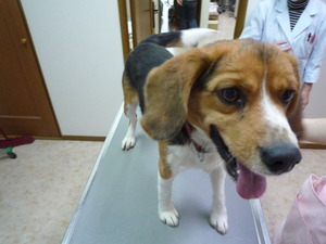 2012_1117_131506-P1070382