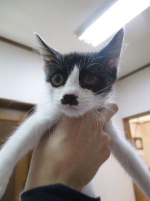 2014_1214_113932-IMG_0009