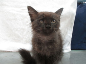 2015_0708_153711-IMG_0001